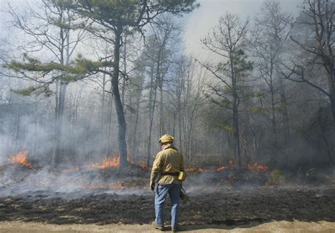 300-acre South Jersey forest fire contained, official says - nj.com