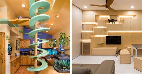 20 Creative Indoor Cat Playground Ideas | Home Design Lover | Diy ...