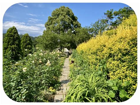 The Amazing Akao Herb And Rose Garden In Atami, Japan And Are We Nearly ...