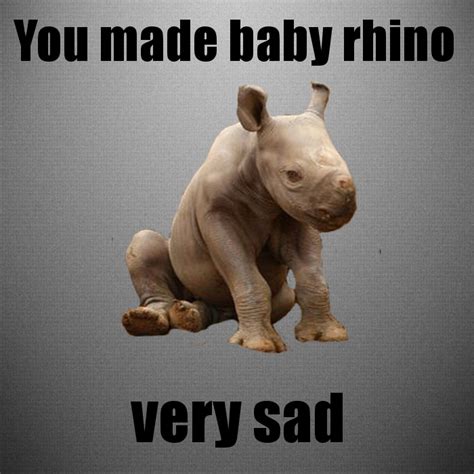 Sad Baby Rhino by 26Livingston on DeviantArt