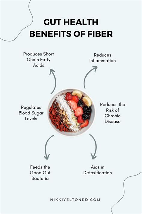 The Benefits of Fiber for Gut Health - Nikki Yelton RD