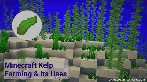 Minecraft Kelp With Awesome Farming - Game Specifications