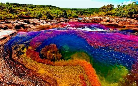 Caño Cristales: Colombia's Rainbow River - Unusual Places