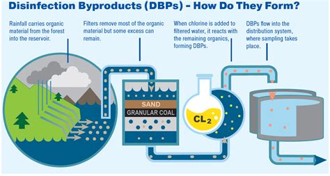 Information and Frequently Asked Questions about Disinfection ...