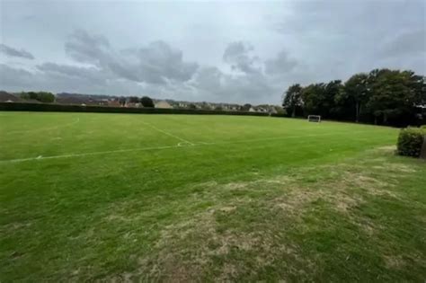 Plans for all-weather sports pitch at Yeovil secondary school approved - Somerset Live