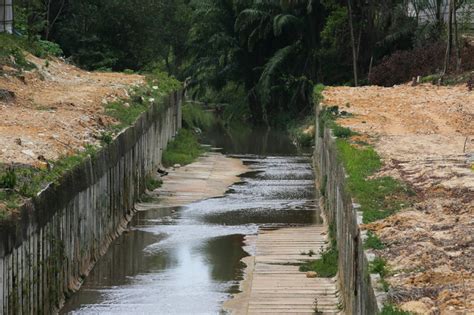 Report: E. coli bacteria found thriving in Johor’s polluted Sungai Kim Kim | Malaysia now