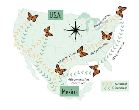 Use This Monarch Migration Map to Track the Epic Journey - Birds and Blooms