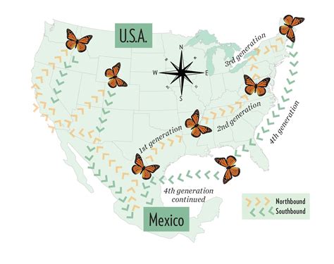 Use This Monarch Migration Map to Track the Epic Journey - Birds and Blooms