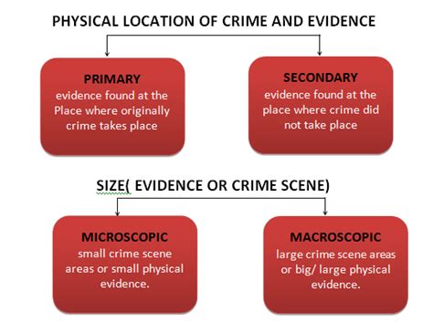 Types Of Crime Scene