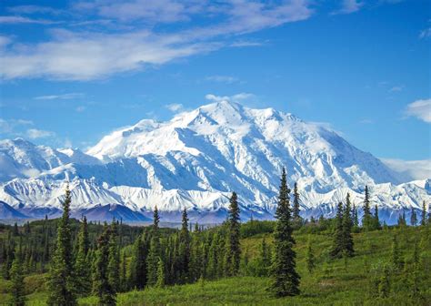 Best things to do in Denali National Park in summer