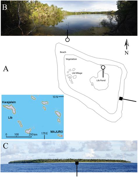 Lib Island. Schematic of Lib Island (A), with stitched panorama of Lib ...