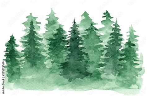 Beautiful watercolor background with green coniferous forest ...