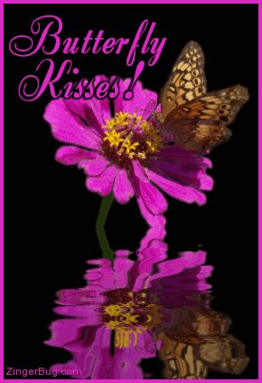 Butterfly Kisses,Animated - Butterflies Photo (19842537) - Fanpop