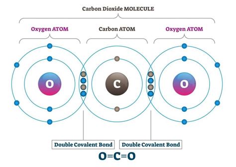 Covalent Bonding | GCSE Chemistry Revision