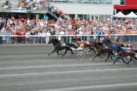 Standardbred Canada Top Harness Racing Drivers of 2019 | Atlantic Post Calls | peicanada.com