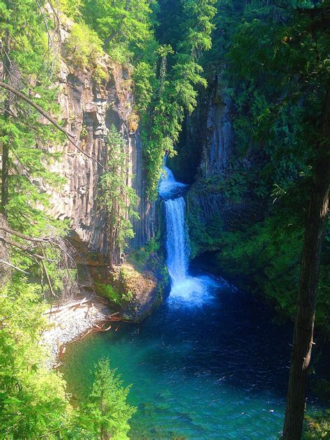 Toketee Falls, Oregon | Nature, Outdoor, Waterfall