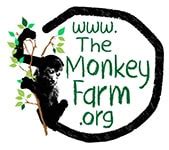 Fund Raising | The Monkey Farm - Costa Rica | Ride Horses on the Beach