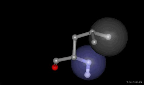 Protein Structure - Drug Design Org