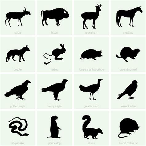 Premium Vector | Steppe animals