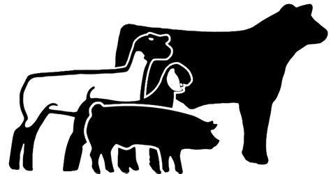 Show Steer Silhouette at GetDrawings | Free download