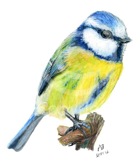 Art Prints for Sale - eBay | Watercolor bird, Watercolor paintings ...