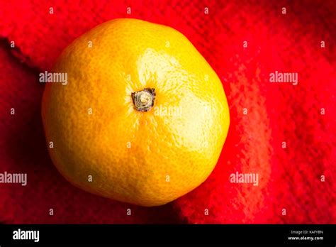 One satsuma mandarin on red picnic blanket Stock Photo - Alamy