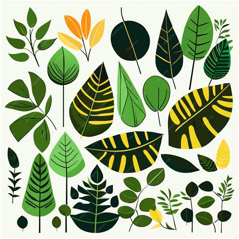 Premium Vector | Isolated rainforest leaf shapes digital art vector pack