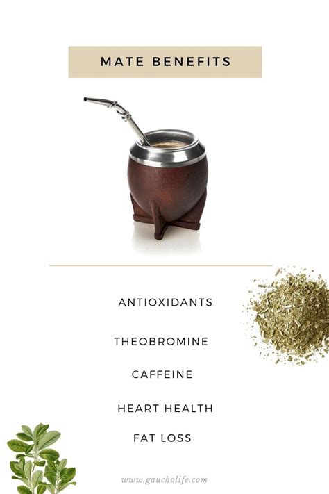 Benefits of Yerba Mate, For you and the environment | Yerba mate, Yerba mate benefits, Yerba