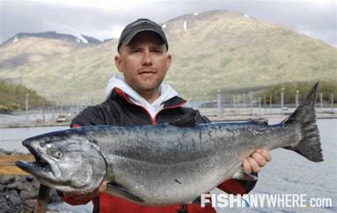 Top US & International Salmon Fishing Destinations | FishAnywhere