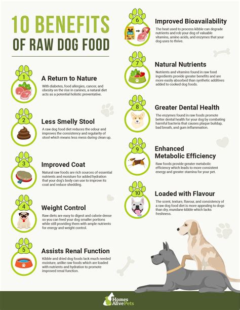 Healthy dog diet