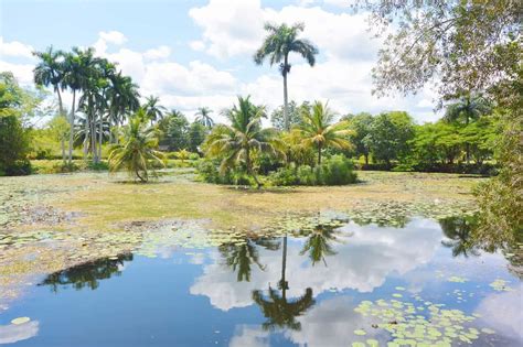 Cinco lugares que puedes visitar en la Ciénaga de Zapata - TodoCuba