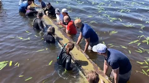 Ancient Native American canoe pulled from Lake Waccamaw in southeastern NC | Flipboard