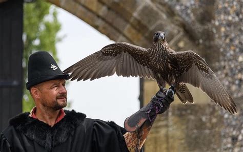 February Half Term — Falconry at Lewes Castle - Sussex Past