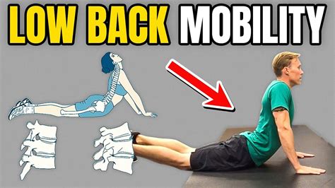 4 Movements to Improve Low Back (Lumbar) Mobility - YouTube