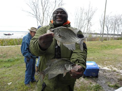 Crappie.com - Harris Chain of Lakes Results~1/13/2018