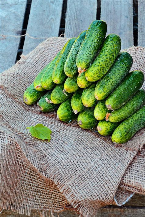 green cucumber fruit pattern natural fruit with clipping path on wood ...