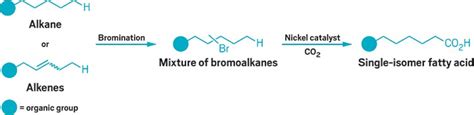 Nickel-catalyst-chain-walks-produce