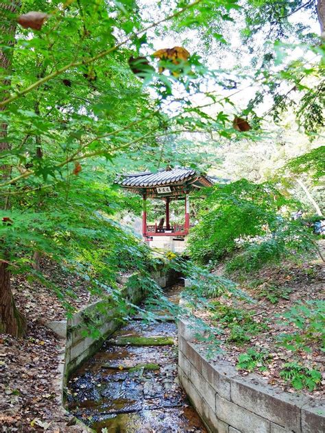 Changdeokgung Palace and Huwon, The Secret Garden, Seoul, South Korea | Chinese garden ...