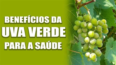 Quais os benefícios da uva verde para a saúde? Confira aqui! - YouTube