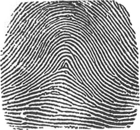 History of Fingerprints