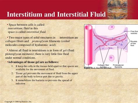 Interstitial fluid formation and edema by dr. mudassar ali roomi