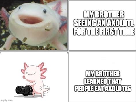 axolotl Memes - Imgflip