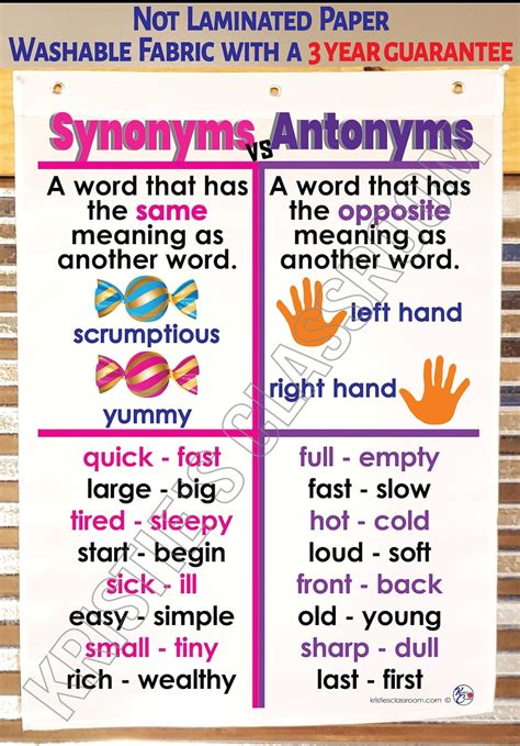 Synonyms & Antonyms Anchor Chart Printed on FABRIC Anchor Charts Are Durable Flag Material ...