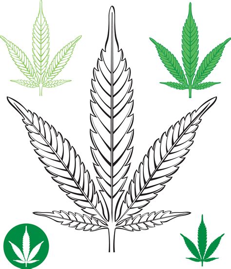 Cannabis leaf outline 13993066 Vector Art at Vecteezy