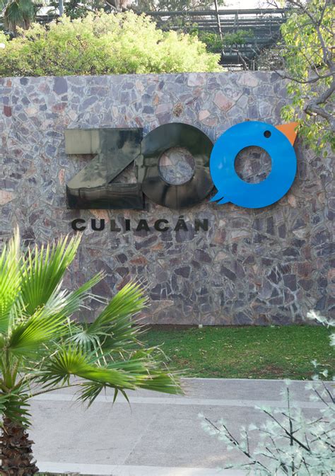 ZOO Culiacán on Behance