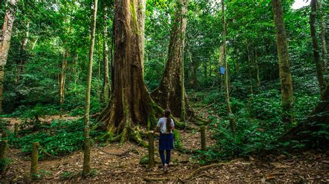 7 amazing national parks in Vietnam | Vietnam Tourism