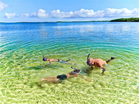 Guide to John Pennekamp Coral Reef State Park, Key Largo in the Florida ...