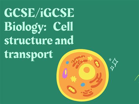 GCSE Biology: Cell structure and Transport | Teaching Resources