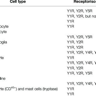 Neuropeptide Y receptors in immune cells. | Download Scientific Diagram