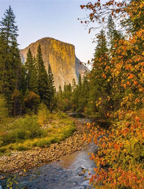 Subtle, but beautiful fall colors in Yosemite Valley yesterday [OC][3673 × 4825] : r/EarthPorn